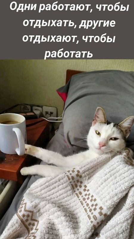 Как найти любимое дело и забыть о рутина