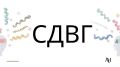 СДВГ у взрослых: мир за пределами стереотипов
